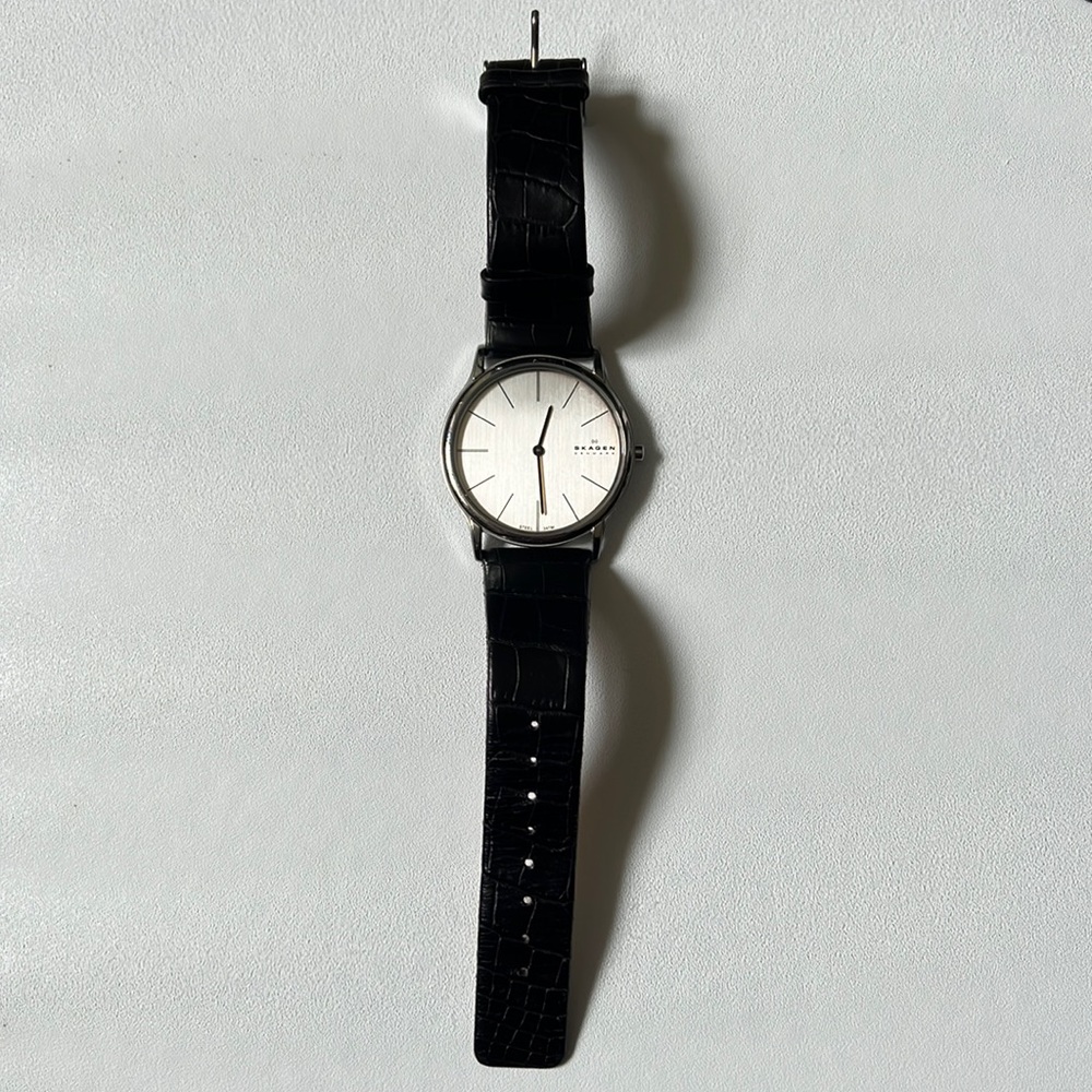 Skagen Theodore Watch 38mm